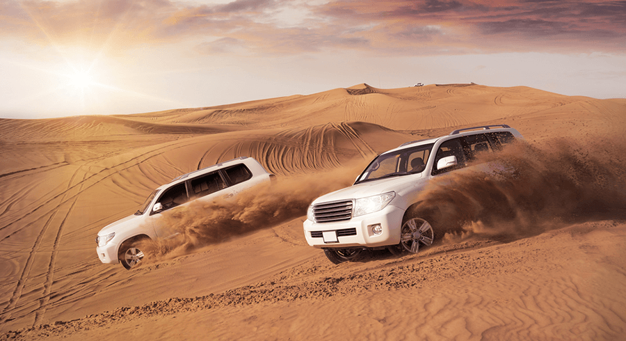 morning desert safari