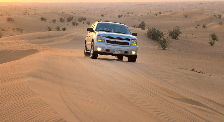 morning desert safari