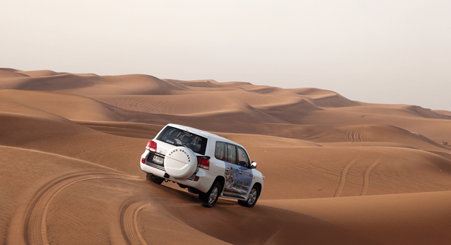 Abu Dhabi Sunrise Safari