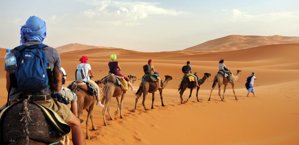 Camel Trekking in Abu Dhabi